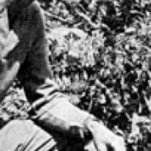 W. Woomer