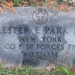 L. Park (grave)