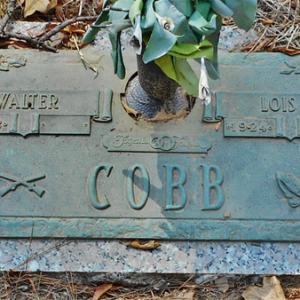 Walter Cobb (grave)