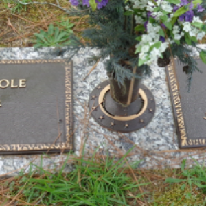 Charles P. Cole (grave)