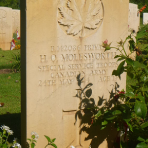 H. Molesworth (grave)