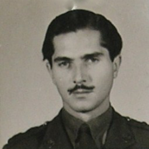 H. Despaigne