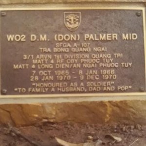 D.M. Palmer