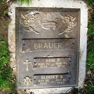 E. Brauer (Grave)