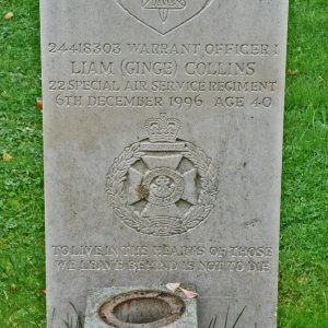 L. Collins (Grave)