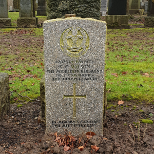 K. Wilson (Grave)