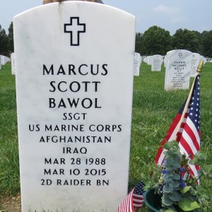 M. Bawol (Grave)