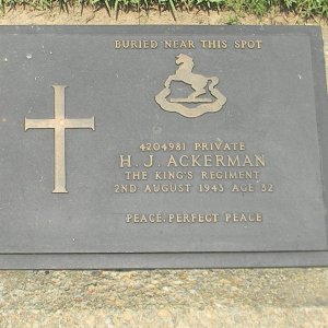 H. Ackerman (Grave)