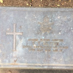 T. Biltoft (Grave)