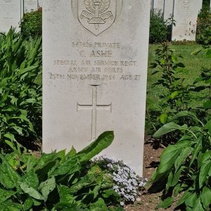 C. Ashe (Grave)
