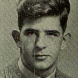 N. Willox