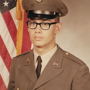 D. Gray