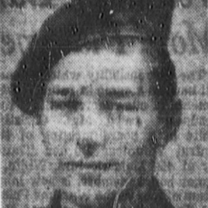 M. Petrow