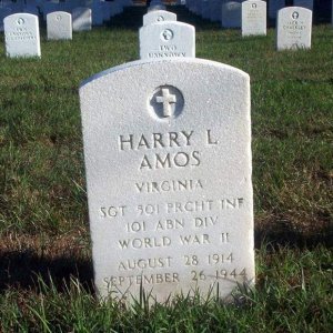 H. Amos (Grave)