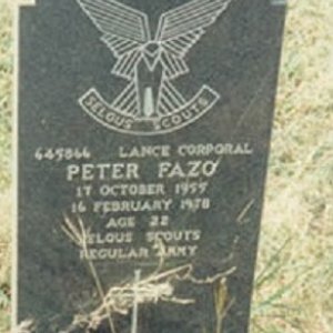 P. Fazo (Grave)