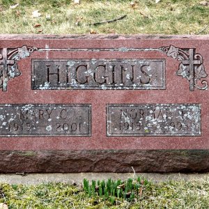 N. Higgins (Grave)