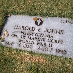 H. Johns (Grave)
