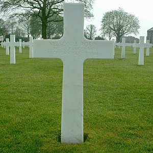 N. Robin (Grave)