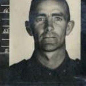 J. Grimson