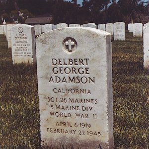 D. Adamson (Grave)