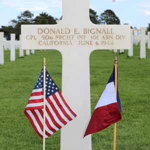 D. Bignall (Grave)