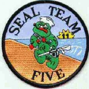 Seal Team 5 patch