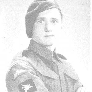 D. Lewis