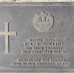 T. Collins (Grave)