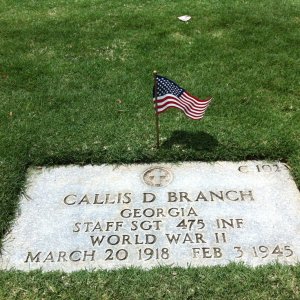 C. Branch (Grave)