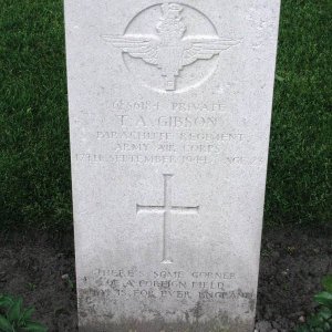 T. Gibson (Grave)