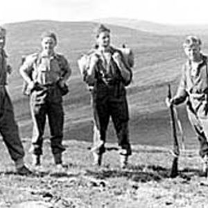 Kompani Linge group