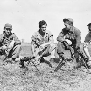 2 Regiment (4 Company) group