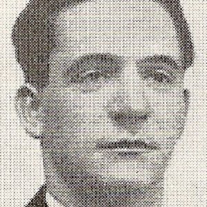 A. Brandshaug