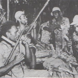 Fiji Guerillas in New Guinea