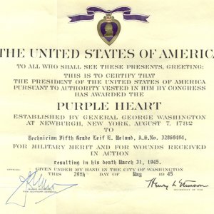 L. Meland (Purple Heart citation)