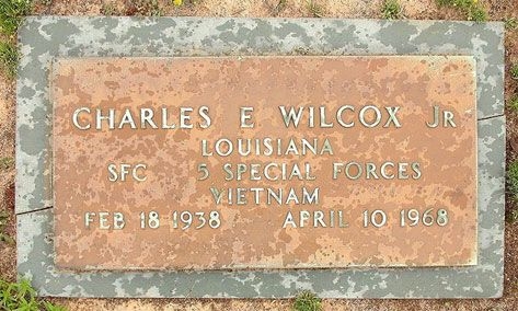 C. Wilcox (grave)