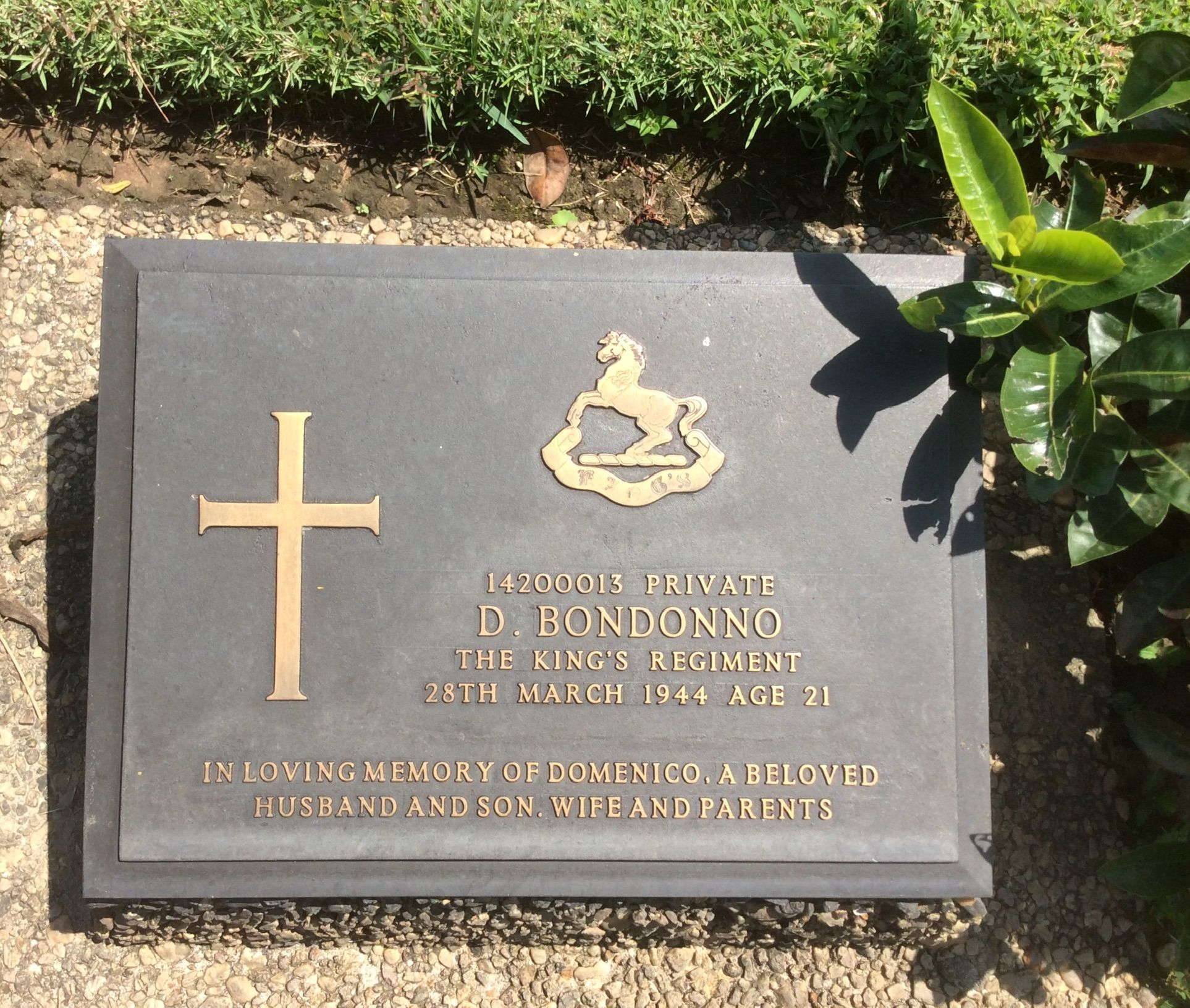 D. Bondonno (Grave)