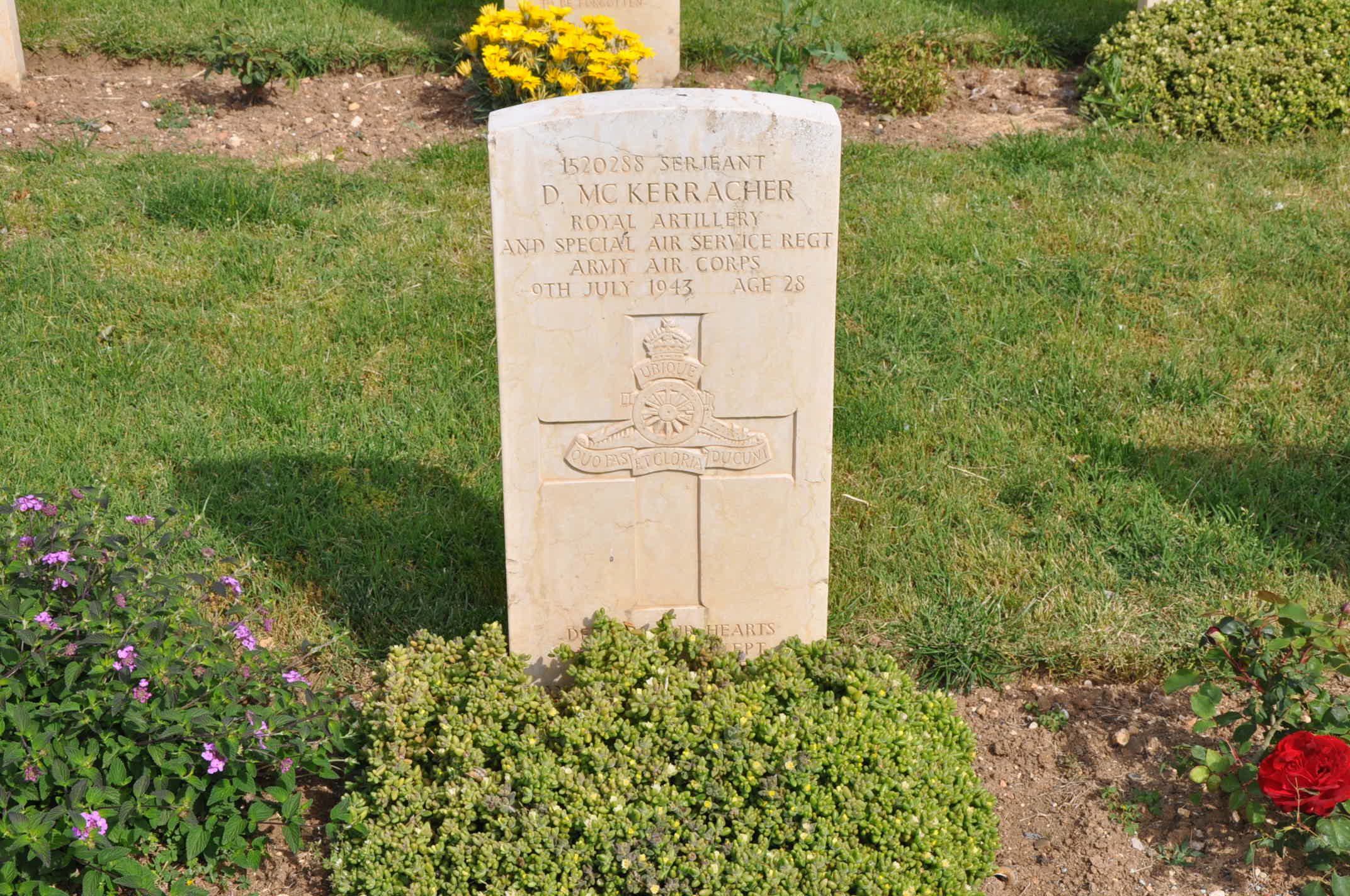 D. McKerracher (Grave)