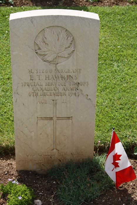 E. Hawkins (grave)