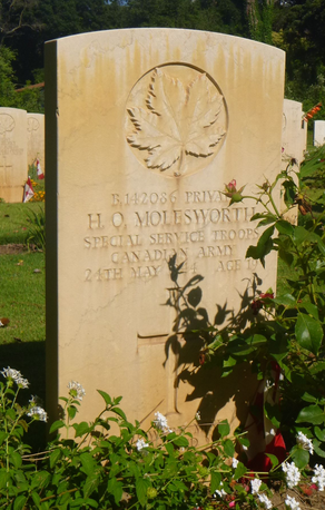 H. Molesworth (grave)