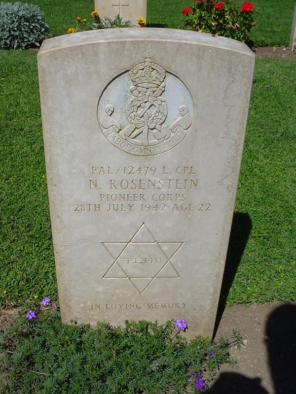N. Rosenstein (Grave)