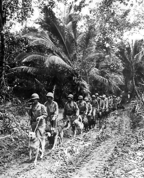 Raiders with dogs,Bougainville