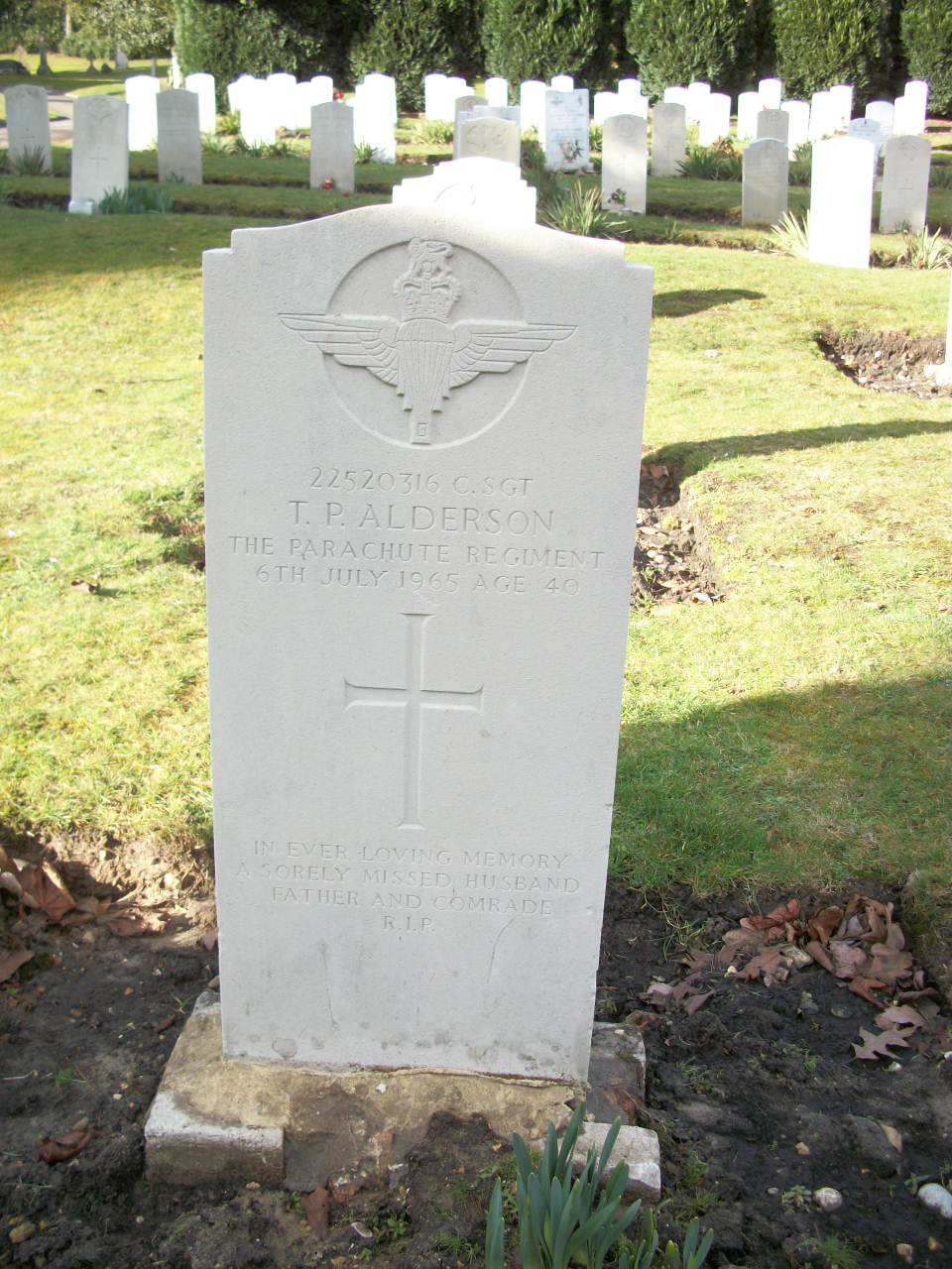 T. Alderson (Grave)