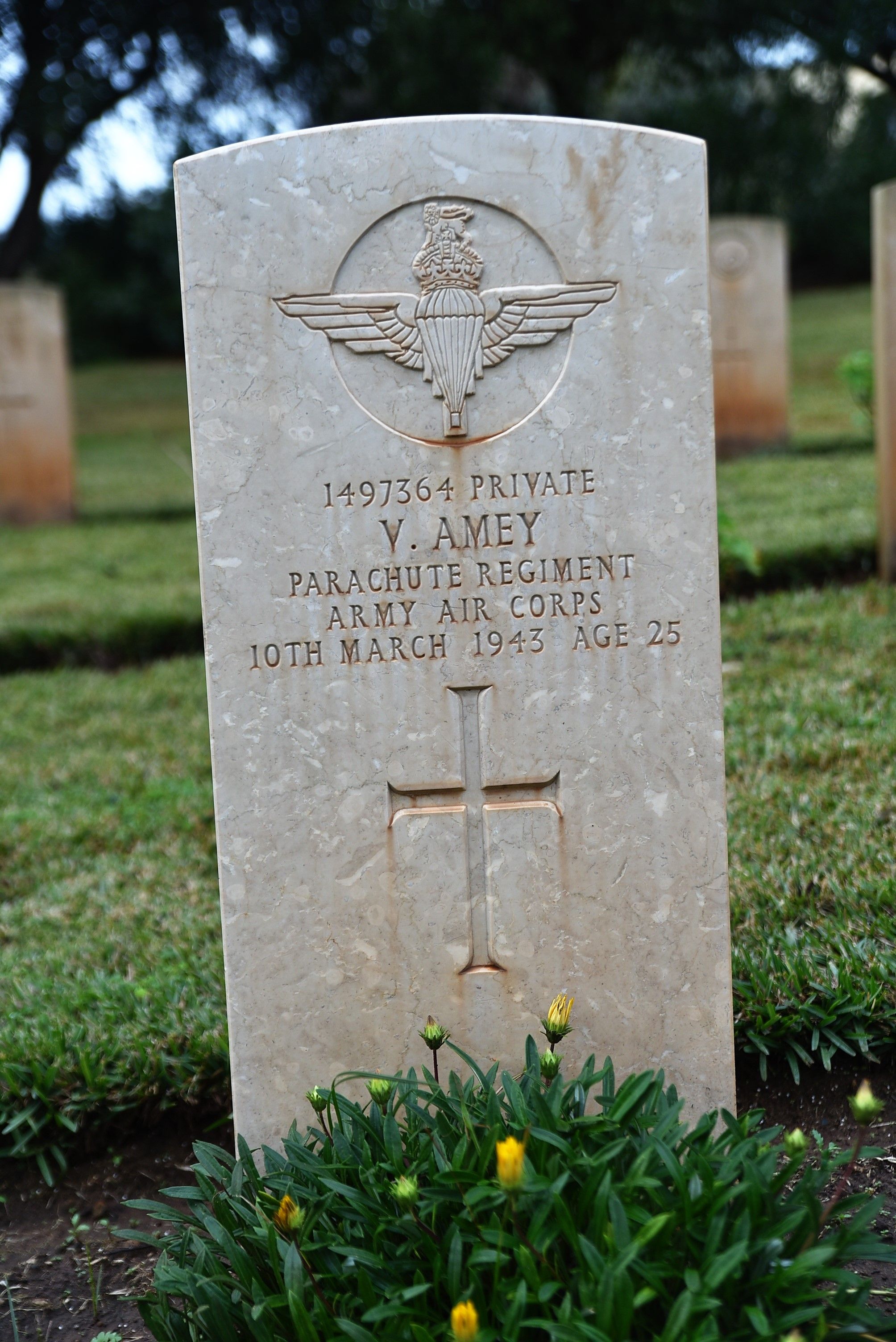 V. Amey (Grave)