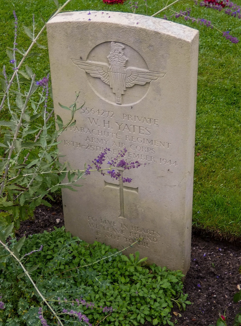 W. Yates (Grave)