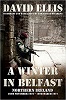 A Winter in Belfast